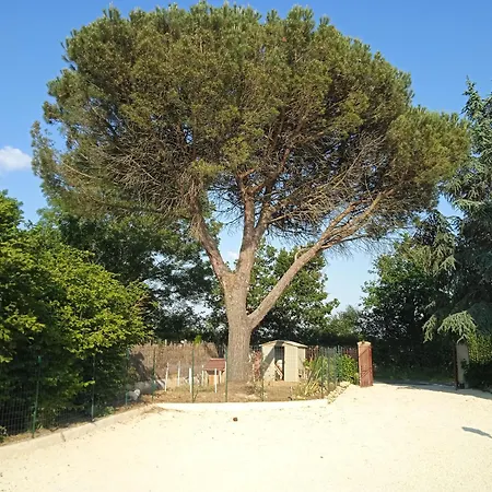 Les Figuiers Proche Puy Du Fou. Saint-Germain-de-Princay