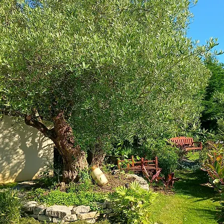 Les Figuiers Proche Puy Du Fou Ferienhaus *