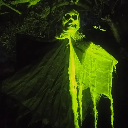 Les Figuiers Proche Puy Du Fou. * Saint-Germain-de-Princay