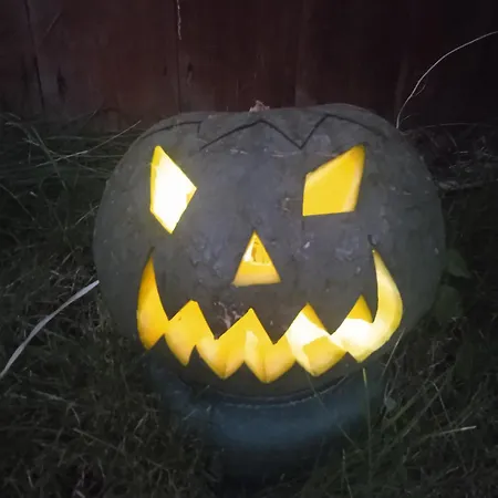 Les Figuiers Proche Puy Du Fou.