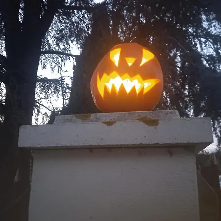 Les Figuiers Proche Puy Du Fou. *