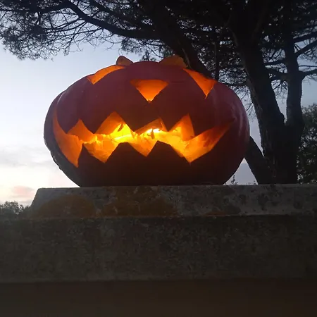 Les Figuiers Proche Puy Du Fou.