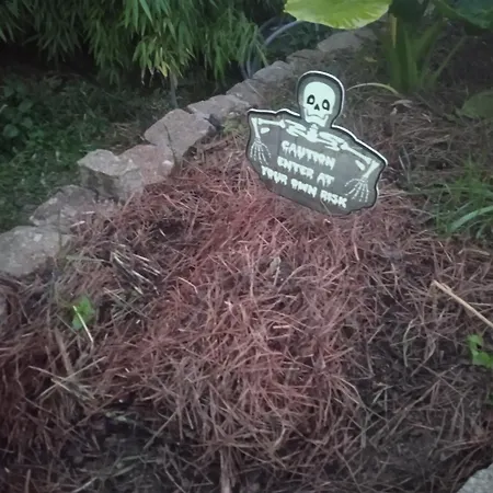 Les Figuiers Proche Puy Du Fou. Holiday home Saint-Germain-de-Princay