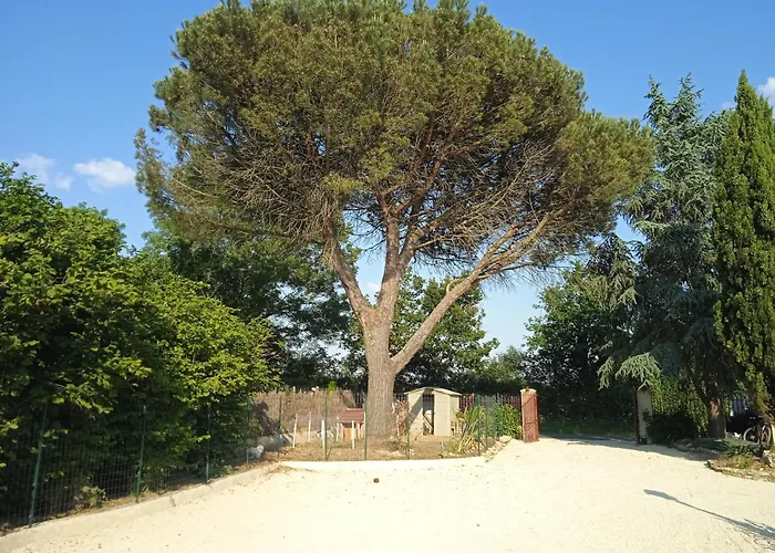 Les Figuiers Proche Puy Du Fou Saint-Germain-de-Princay