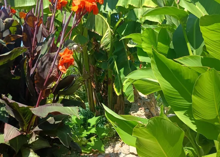 בית נופש Les Figuiers Proche Puy Du Fou Saint-Germain-de-Princay